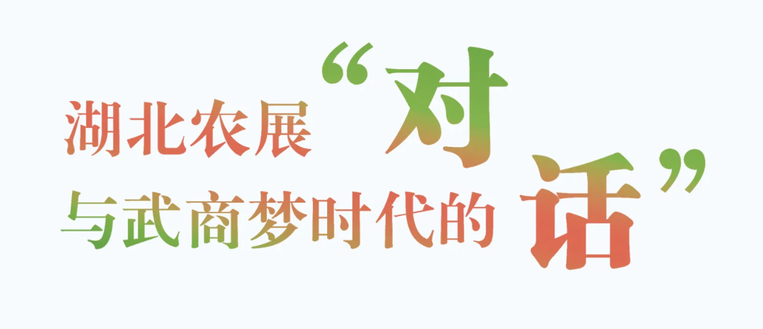 AG8�콢����(�й�)������ҳ