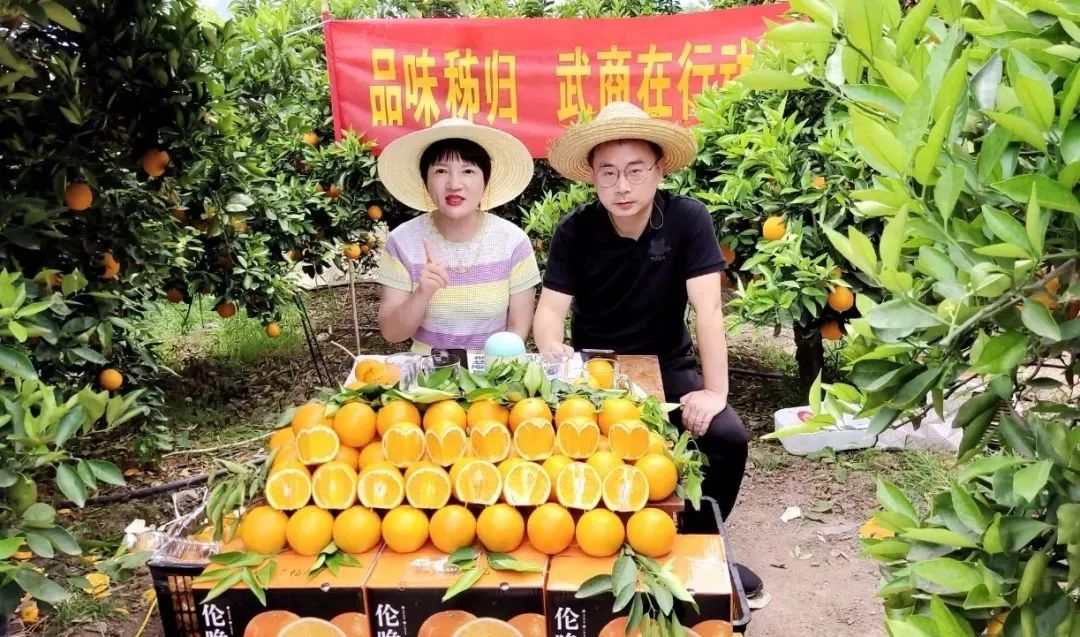 AG8�콢����(�й�)������ҳ